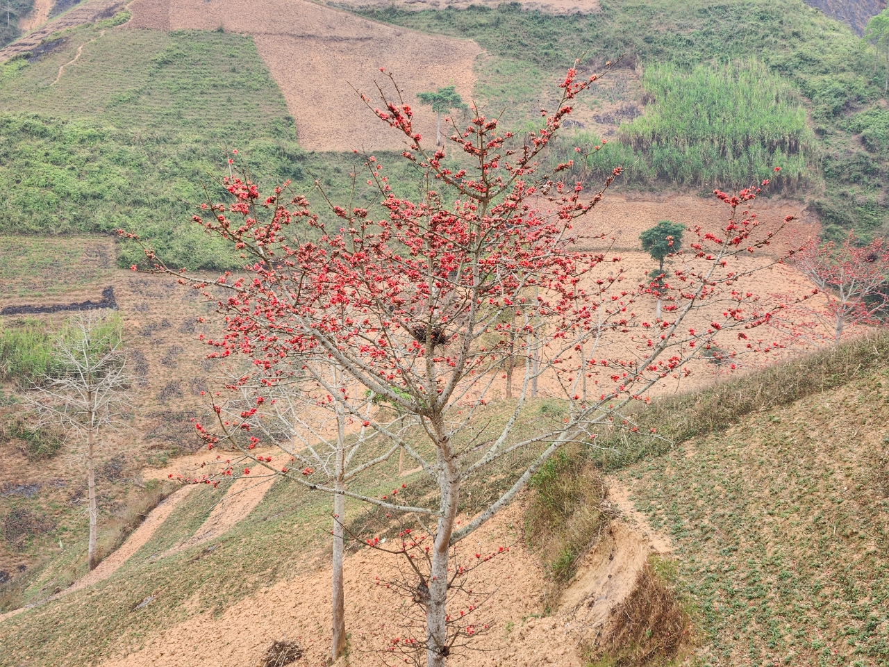 Sapa Hidden Trails: 1-Day Mountain Biking Discovery to Tả Phìn & Remote Ethnic Villages
